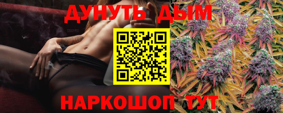 Канабис планчик Луга